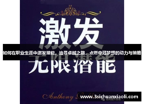 如何在职业生涯中激发潜能，追寻卓越之路，点燃夺冠梦想的动力与策略