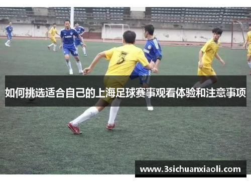 如何挑选适合自己的上海足球赛事观看体验和注意事项
