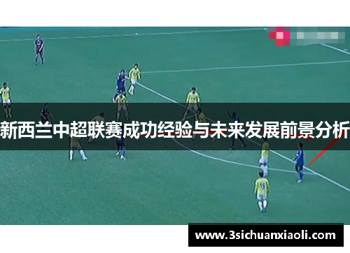 新西兰中超联赛成功经验与未来发展前景分析