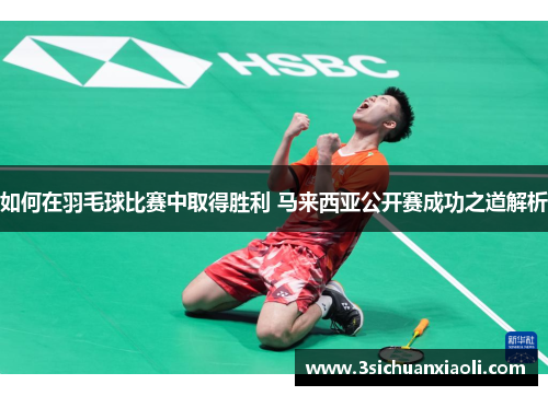 如何在羽毛球比赛中取得胜利 马来西亚公开赛成功之道解析