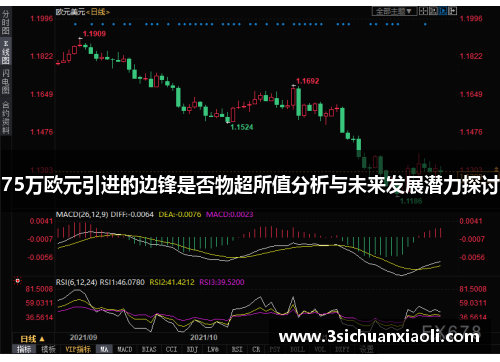 75万欧元引进的边锋是否物超所值分析与未来发展潜力探讨