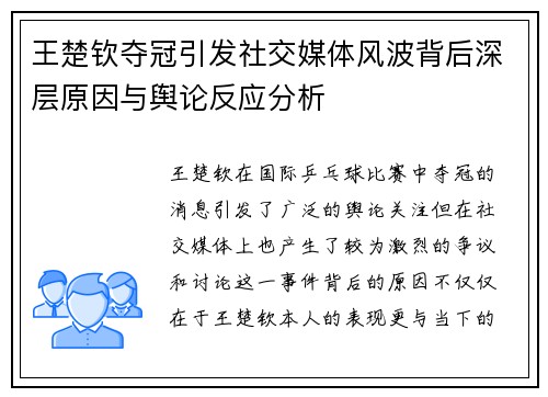 王楚钦夺冠引发社交媒体风波背后深层原因与舆论反应分析