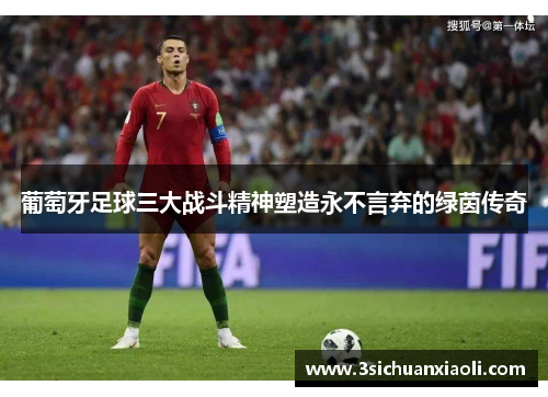 葡萄牙足球三大战斗精神塑造永不言弃的绿茵传奇