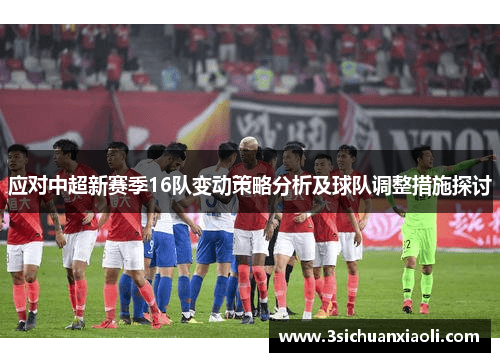 应对中超新赛季16队变动策略分析及球队调整措施探讨 应对中超新赛季16队变动策略分析及球队调整措施探讨