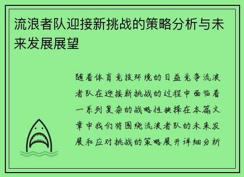 流浪者队迎接新挑战的策略分析与未来发展展望